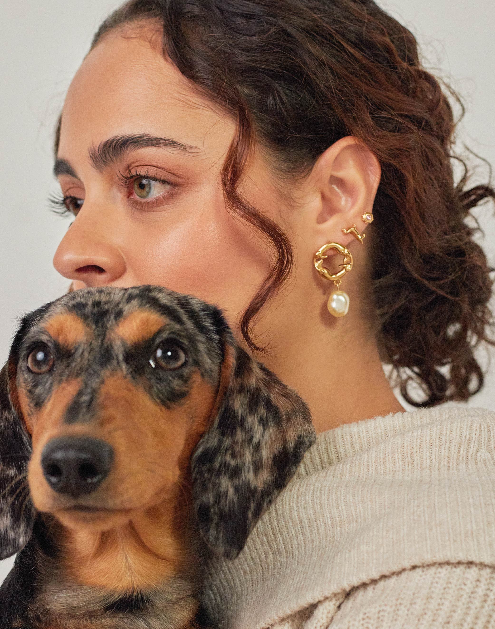 Harlequin Dachshund Earrings